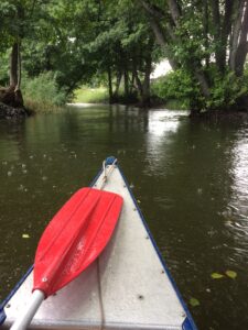 Fören av en kanot med en röd paddel på väg i en kanal.